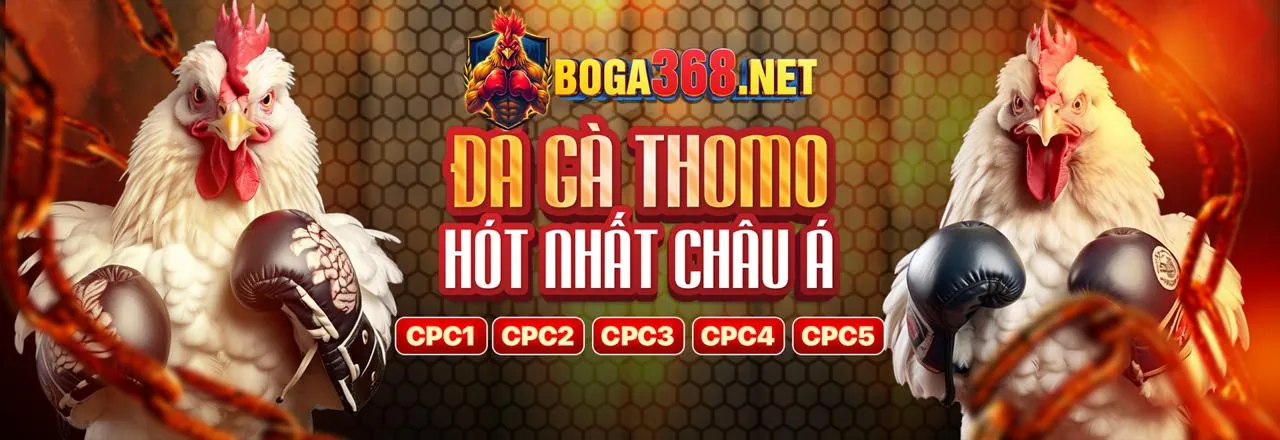 Tham gia oke365 link mới ngay